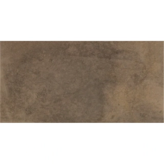 dlažba/obklad Disk Brown 30x60 rect.